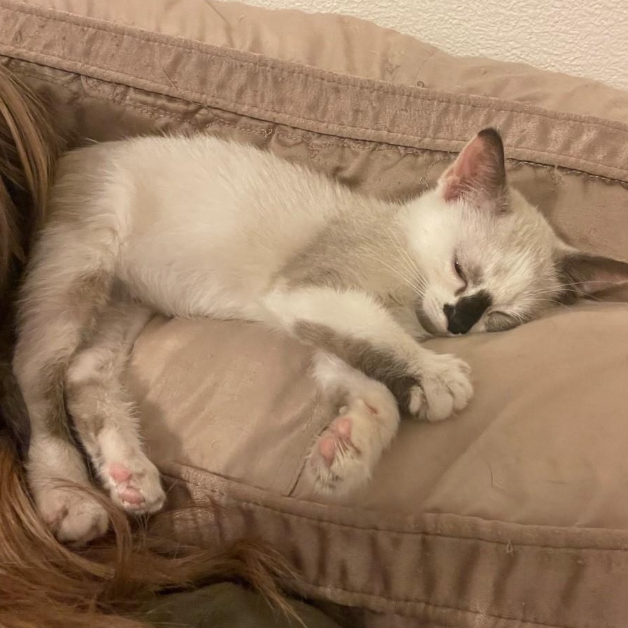 Geraldine Vanourek thumbnail 3