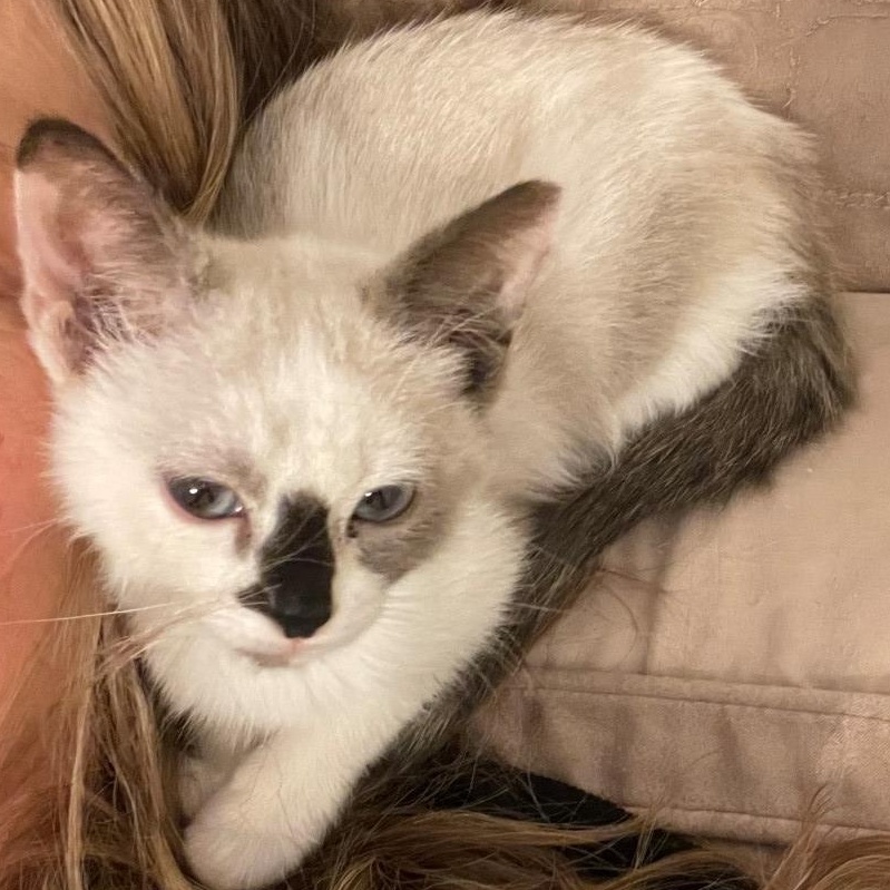 Geraldine Vanourek thumbnail 4