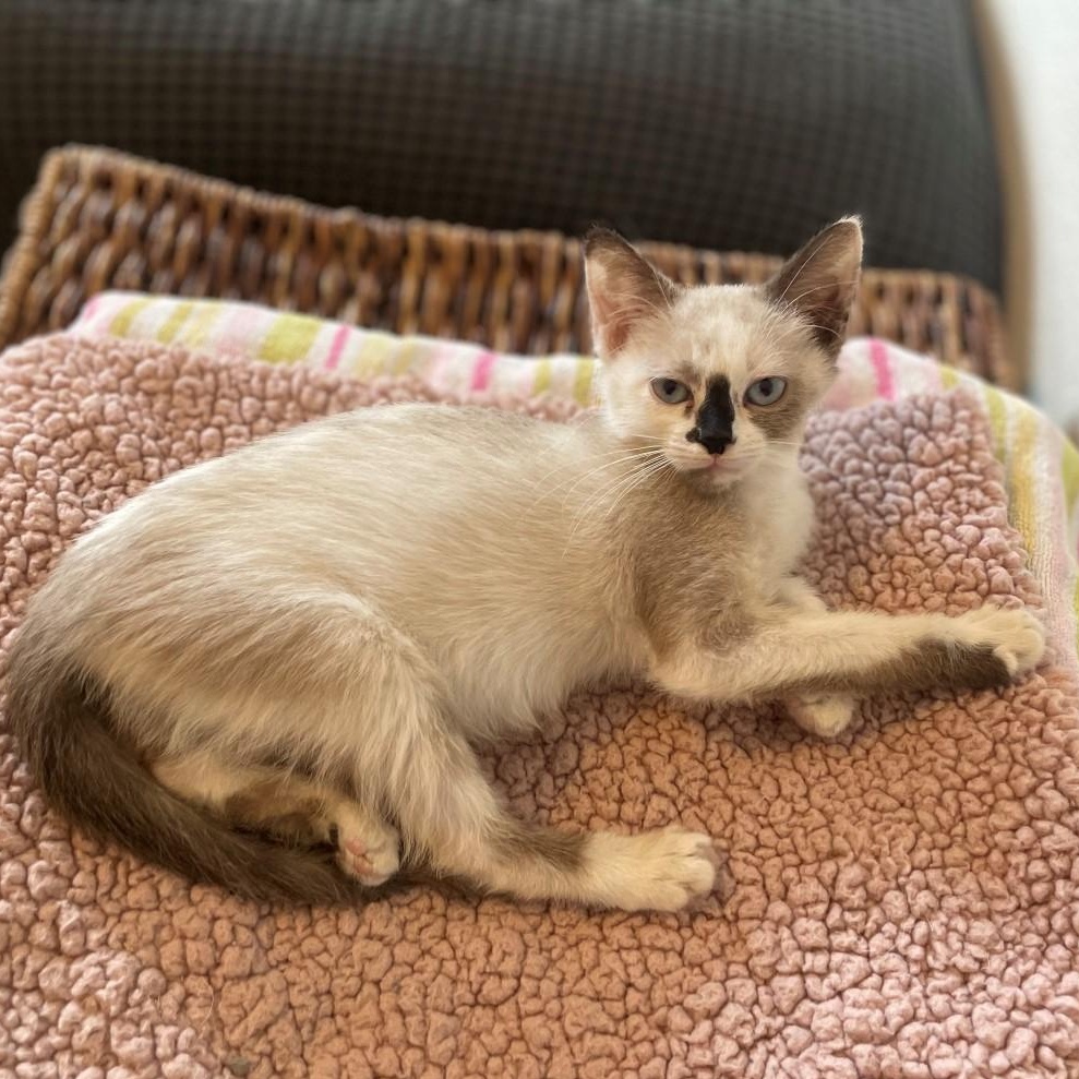 Geraldine Vanourek thumbnail 5