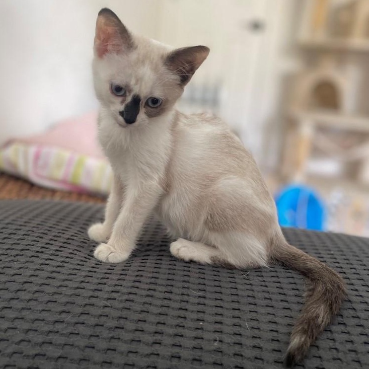 Geraldine Vanourek thumbnail 6