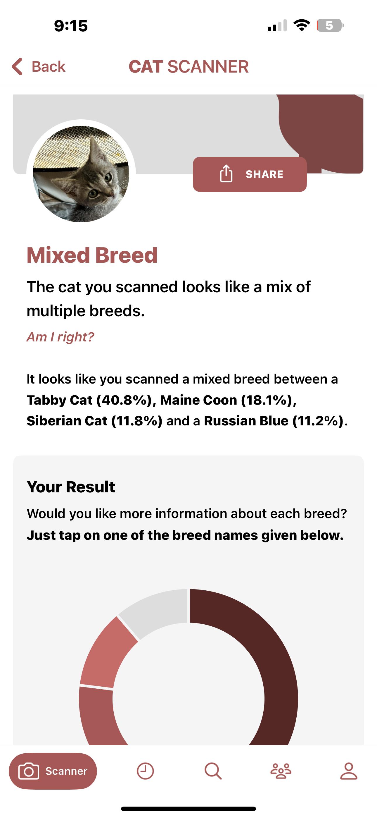 Enlarge Stewy, a Adoptable mixed breed in Lancaster, CA image 3/6