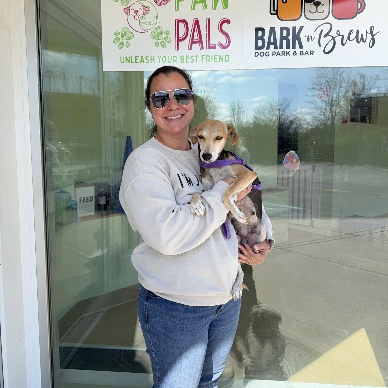 Enlarge Brittanie, a ADOPTABLE mixed breed in Nanuet, NY image 5/6