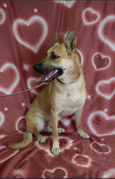 Hanson — thumbnail 3