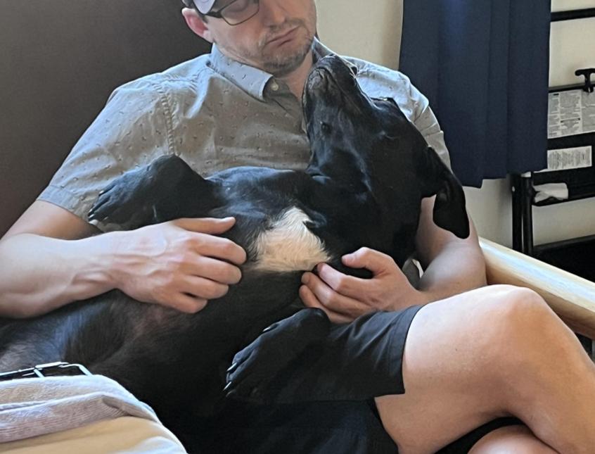 Looking for my happily ever after - I'm a good boy who does great in restaurants! I'm Mister, a Adoptable mixed breed in encinitas, CA image 4/6