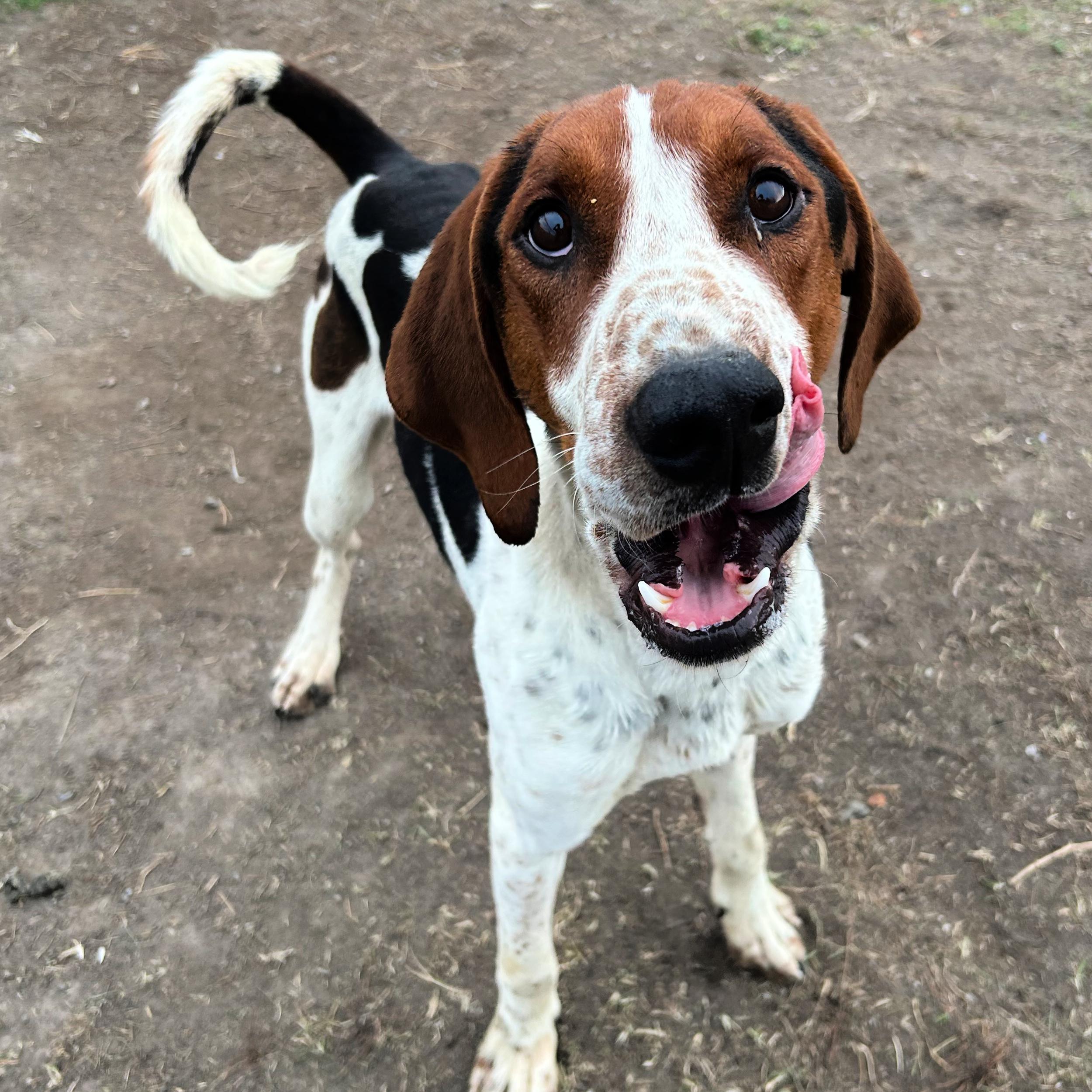 Sherlock thumbnail 2