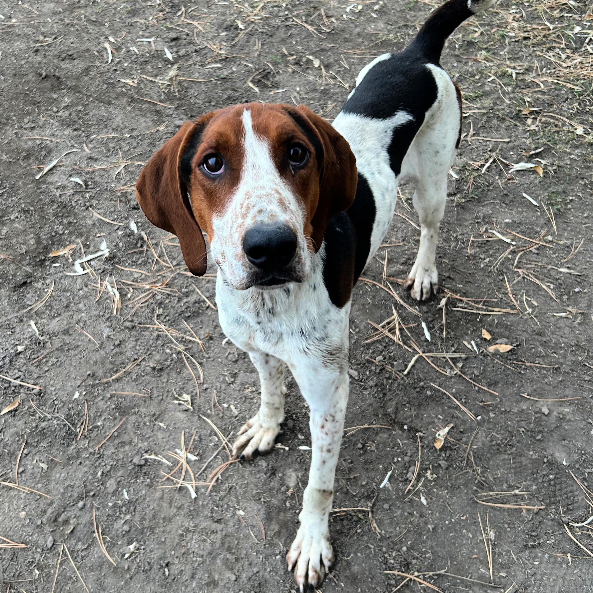 Sherlock thumbnail 5