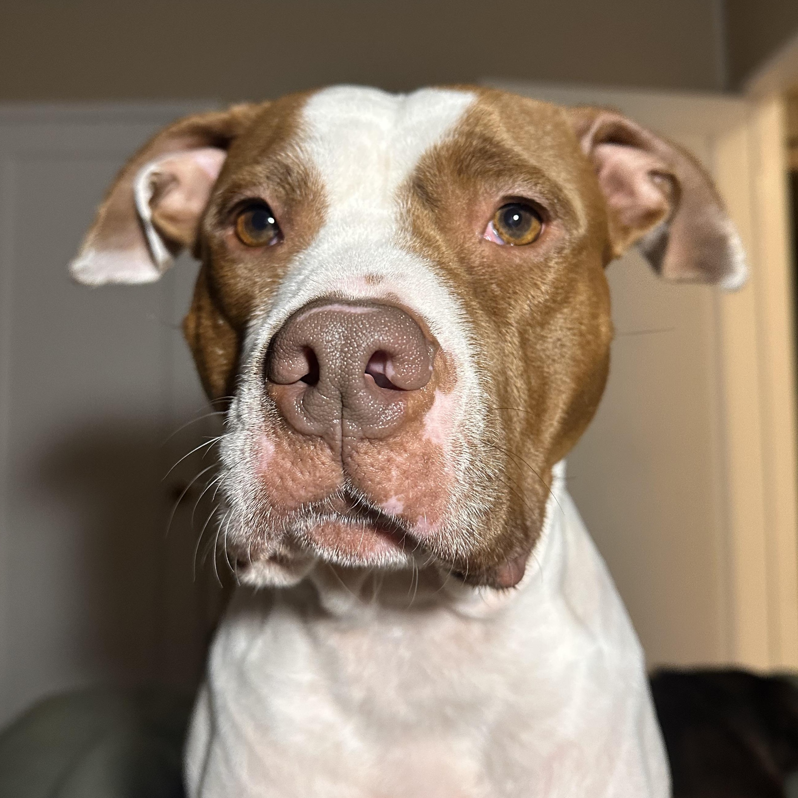 Maggie