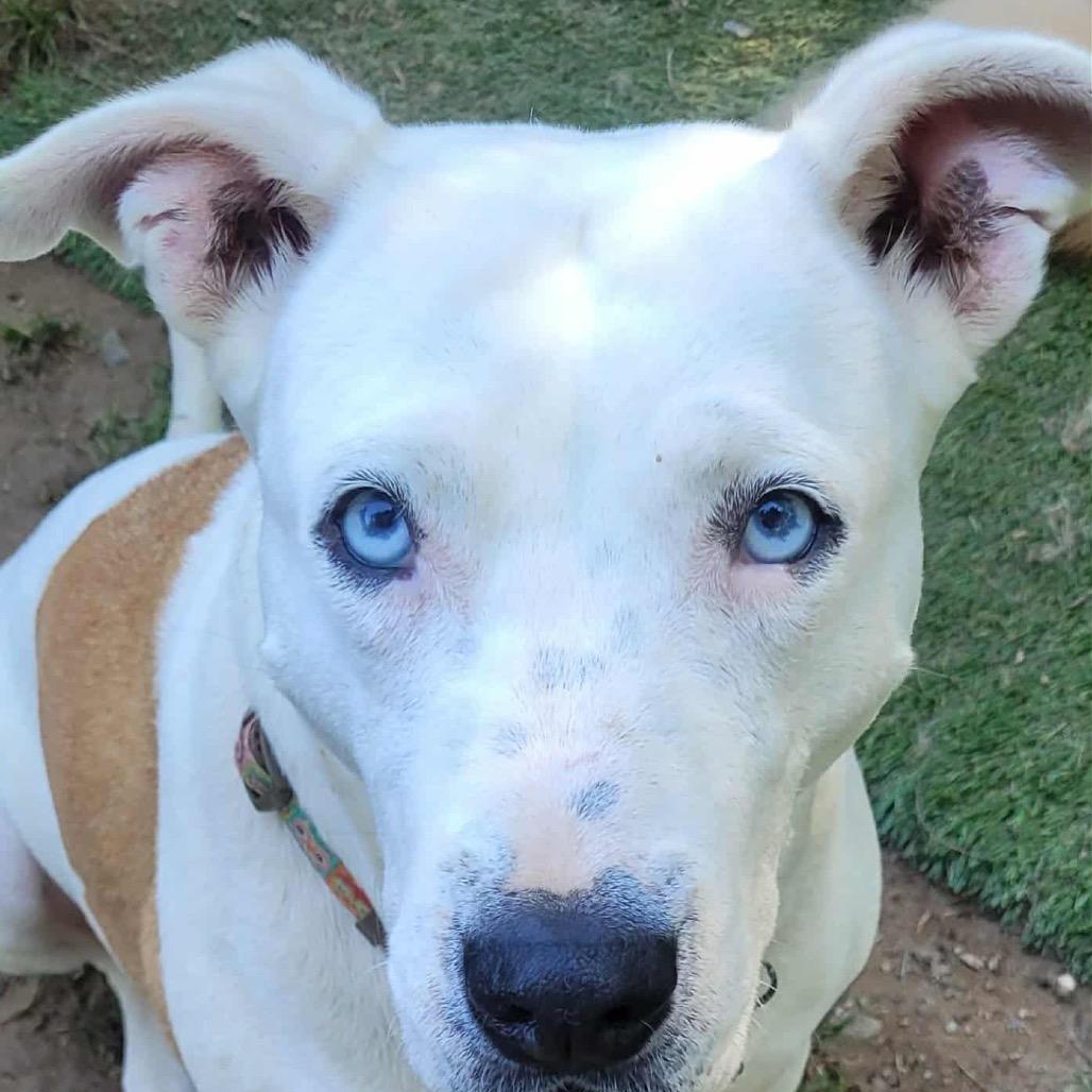 Sprinkles thumbnail 3