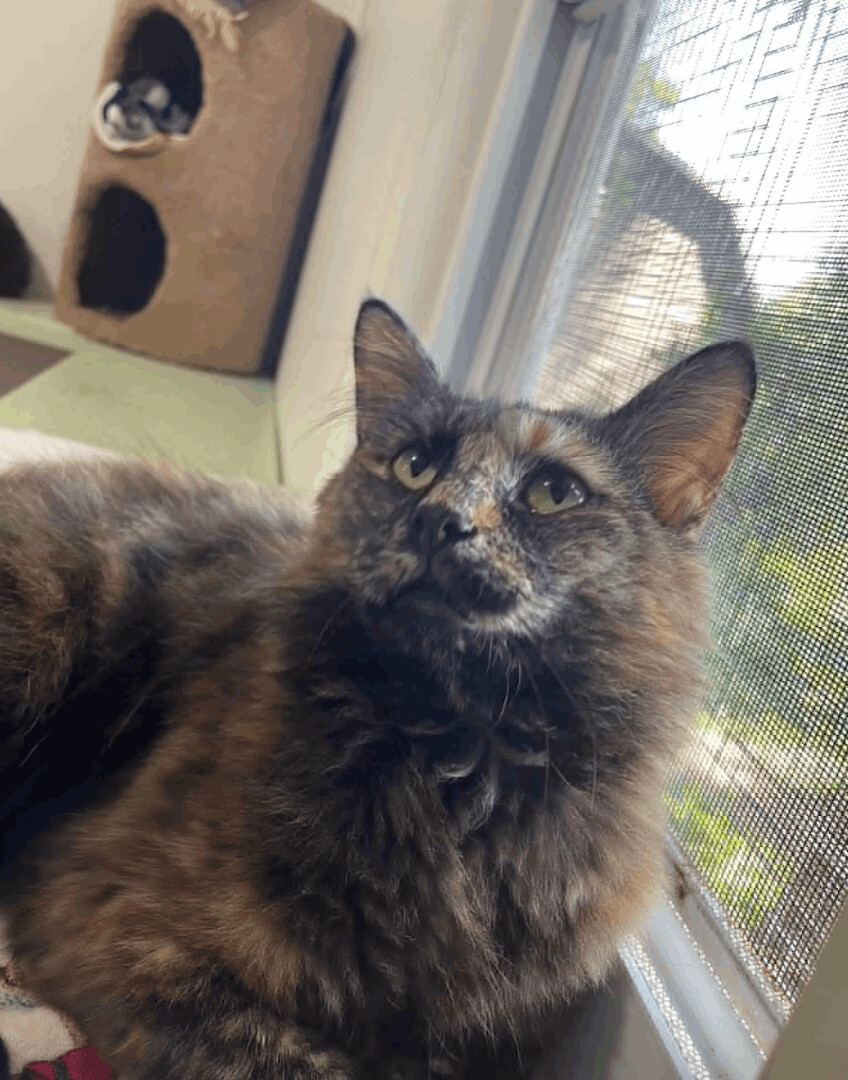 Catherine thumbnail 3