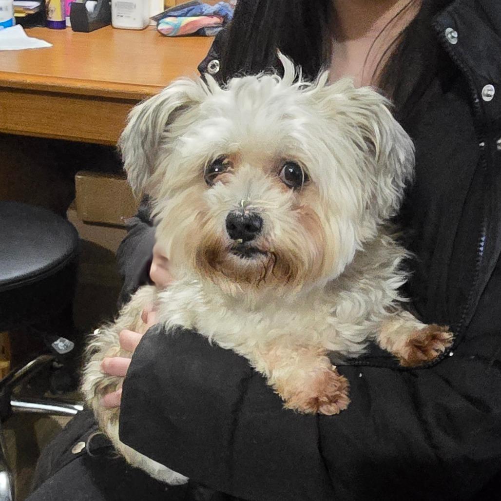 Bamboo C thumbnail 4