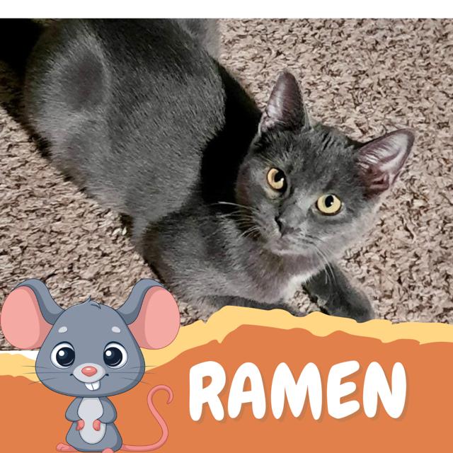 Ramen thumbnail 2
