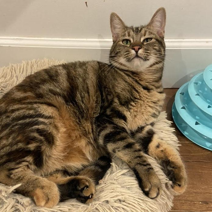 Arielle — thumbnail 3