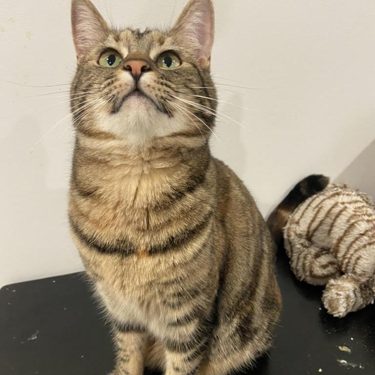 Arielle — thumbnail 4