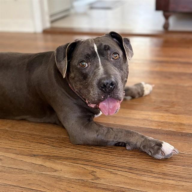 JULIA — thumbnail 2