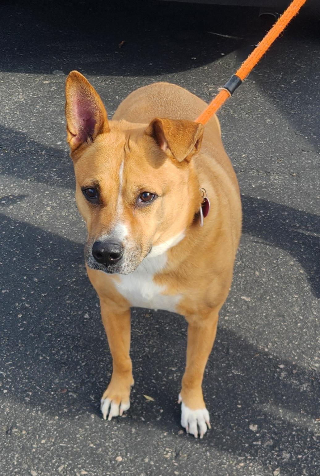 ZEUS — thumbnail 2