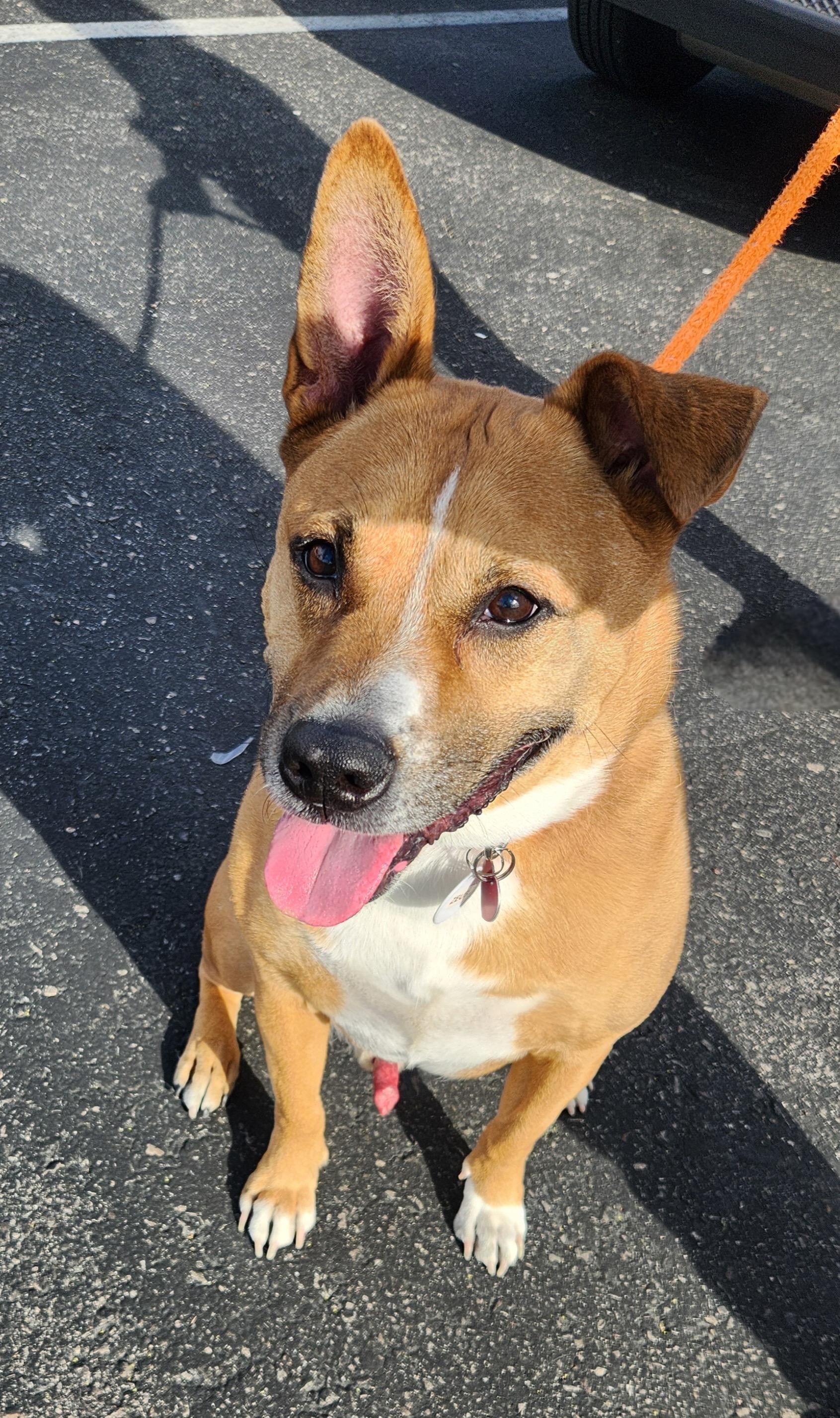 ZEUS — thumbnail 3