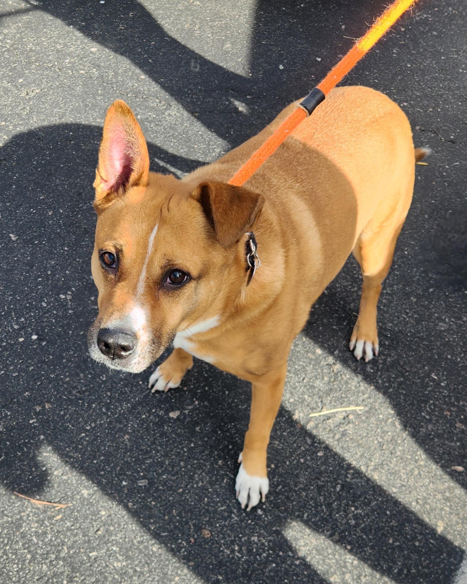 ZEUS — thumbnail 4