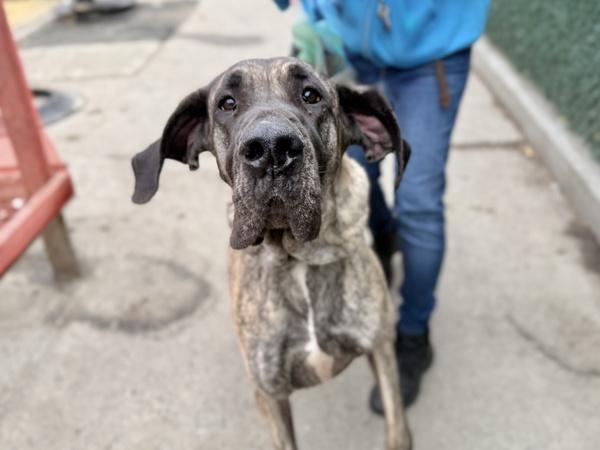 Mary Jane — thumbnail 2