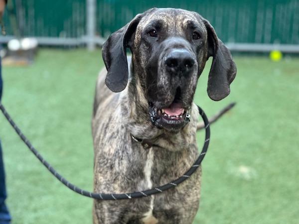 Mary Jane — thumbnail 5