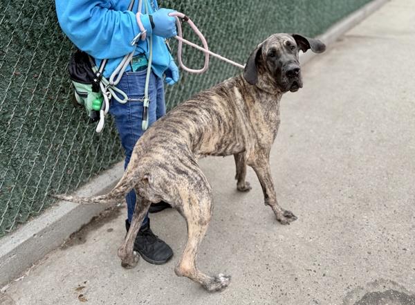 Mary Jane — thumbnail 6