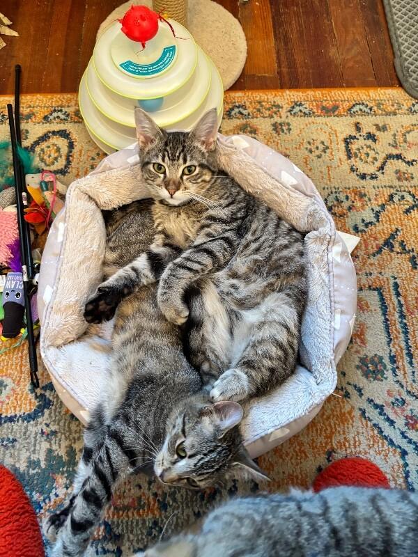 Dustin — thumbnail 2