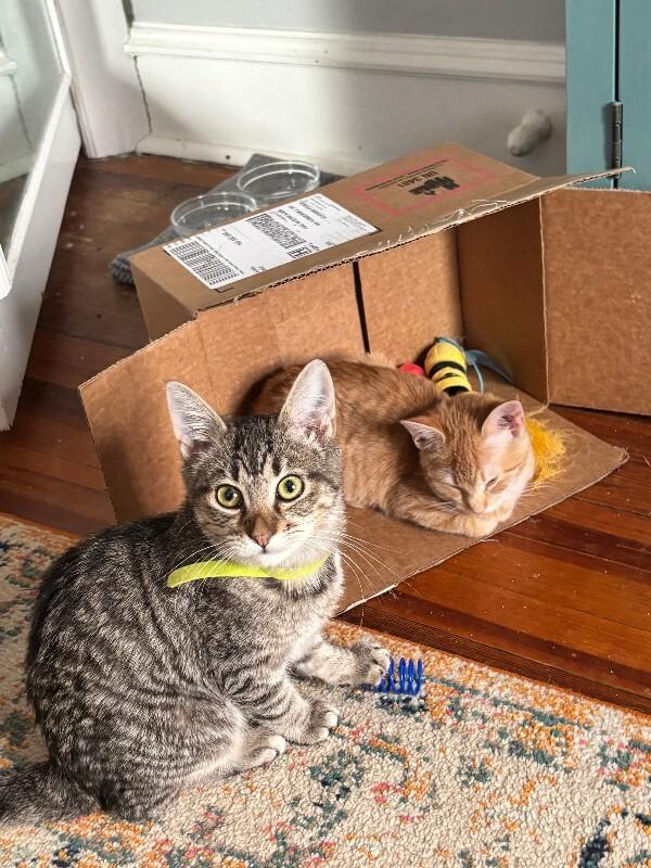 Dustin — thumbnail 3