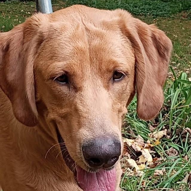 Charlie photo