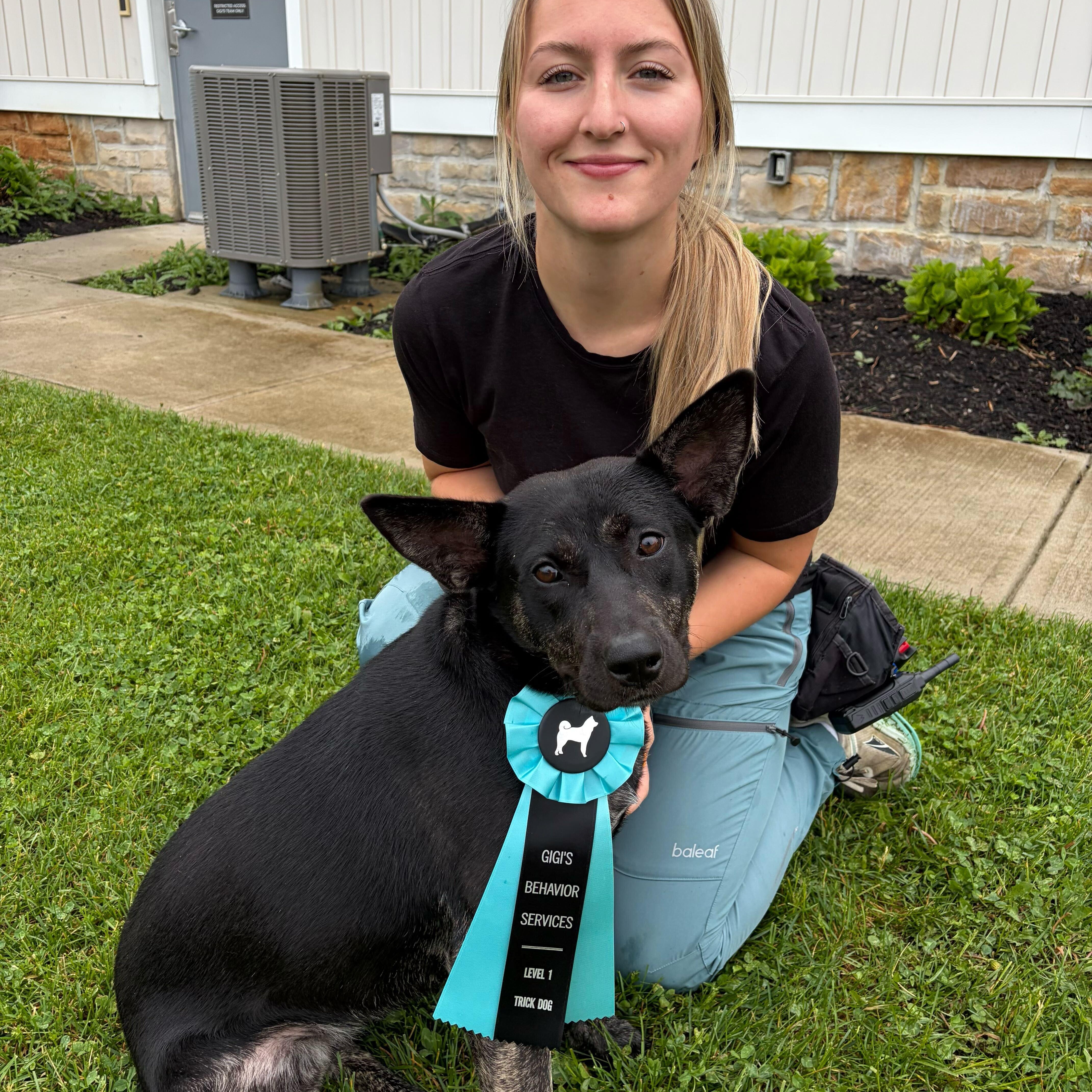 Enlarge Clementine, an adoptable mixed breed in Canal Winchester, OH image 6/6