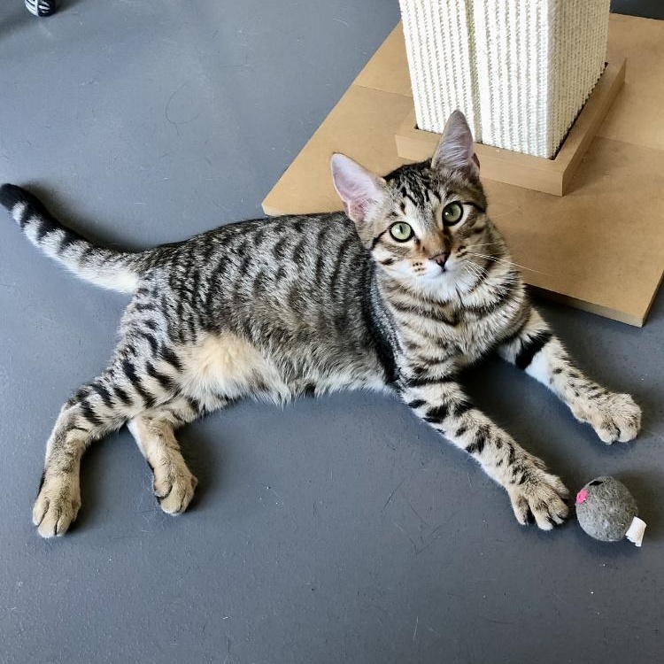 Riku — thumbnail 5