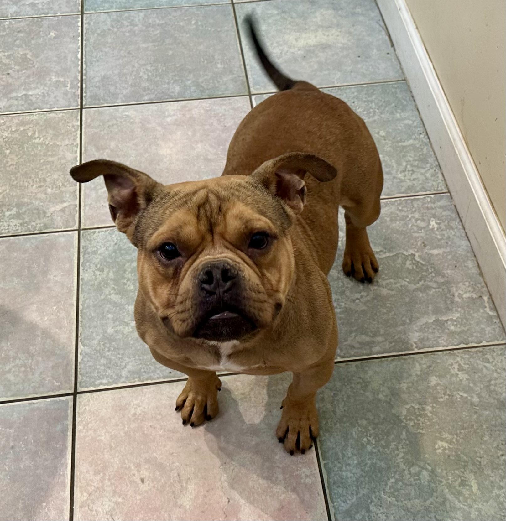 Personality Plus!!! thumbnail 2