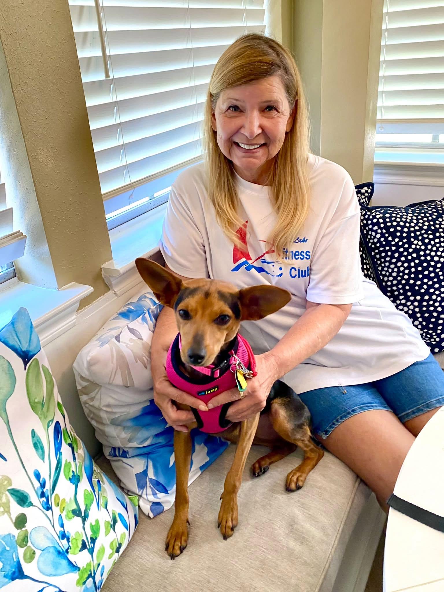Enlarge Hazel - ADOPTED, a Adoptable mixed breed in Houston, TX image 6/6
