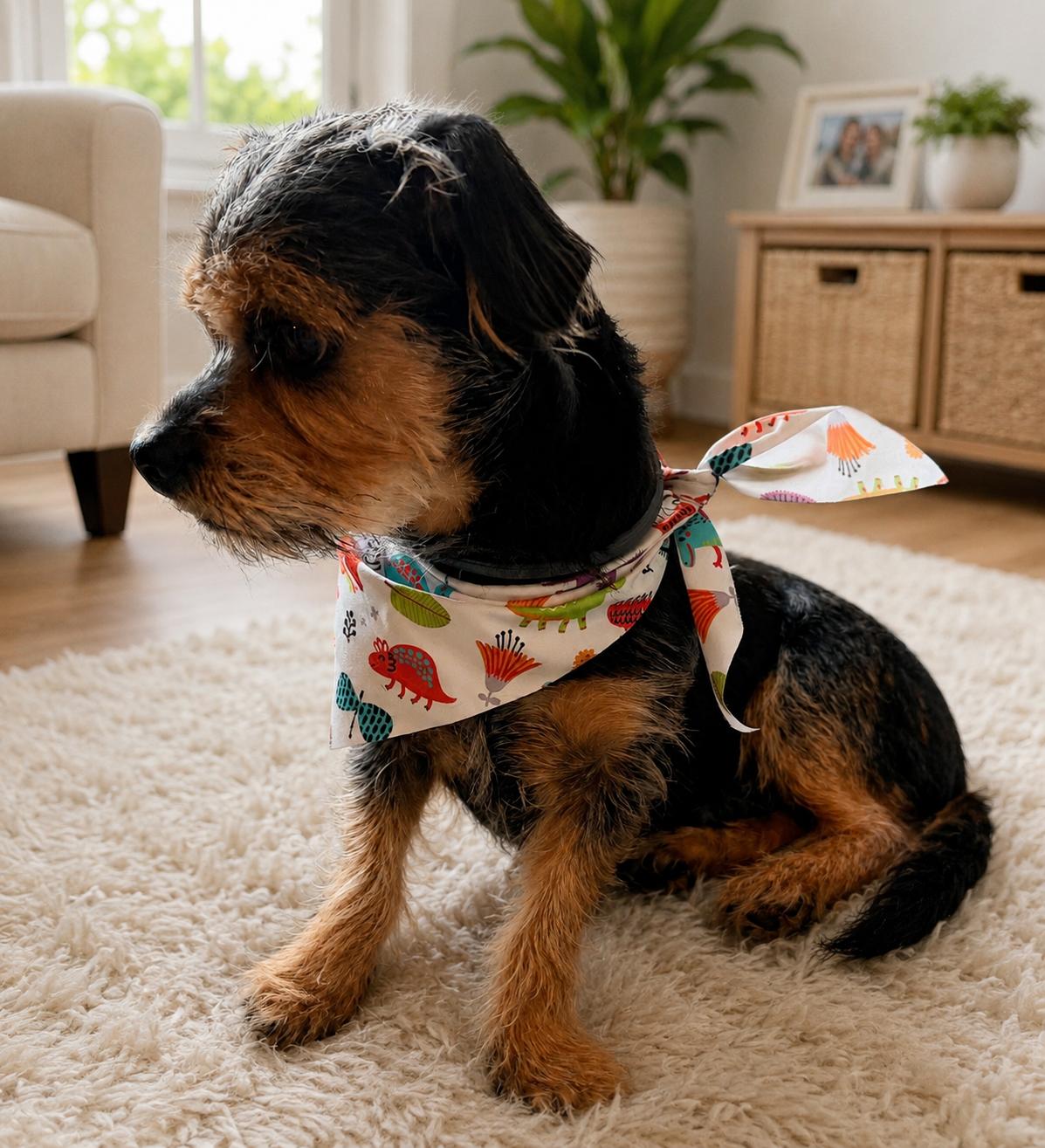 Oliver, an adopted mixed breed in Chickamauga, GA image 2/6