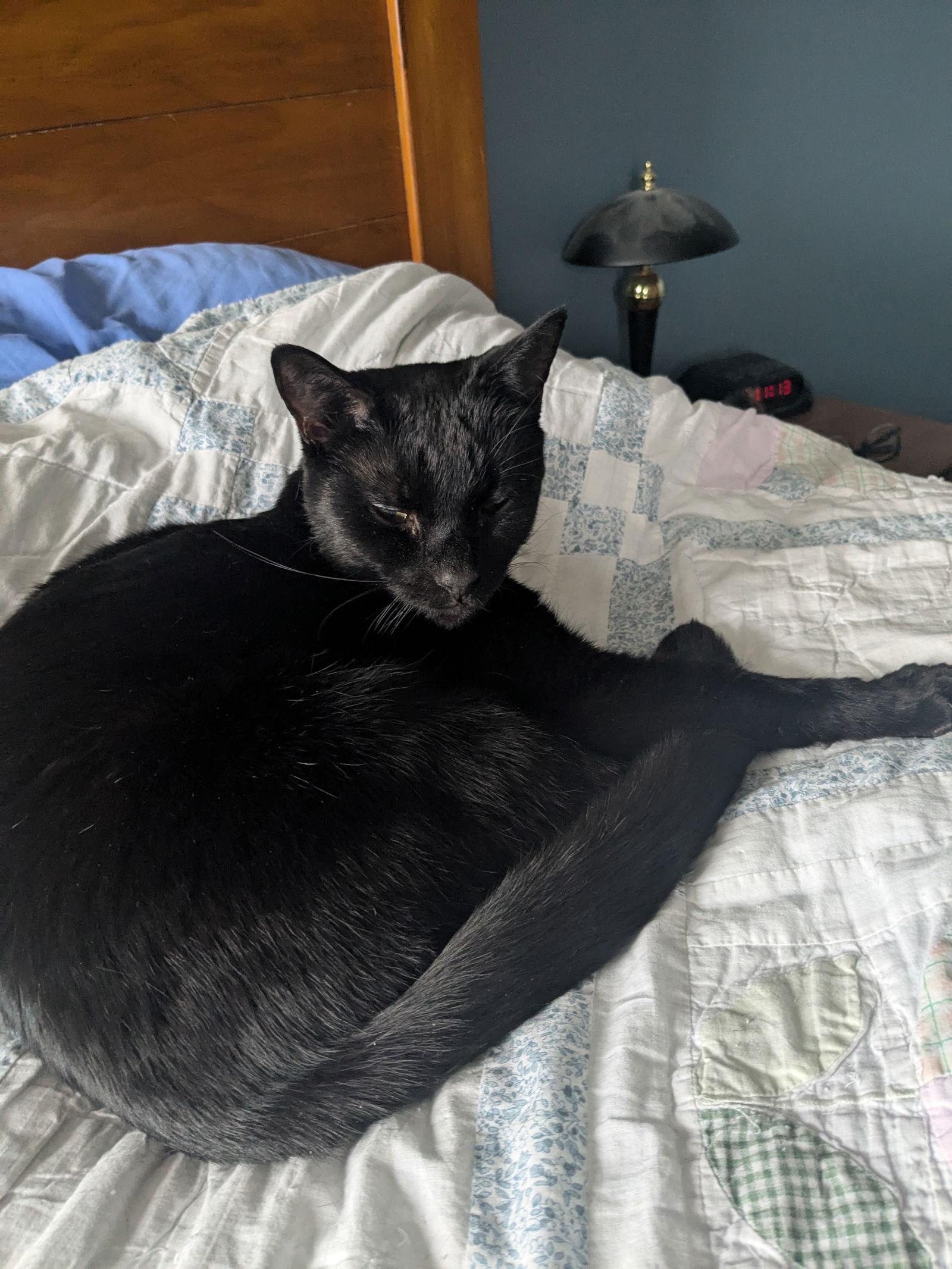 Franklin thumbnail 2