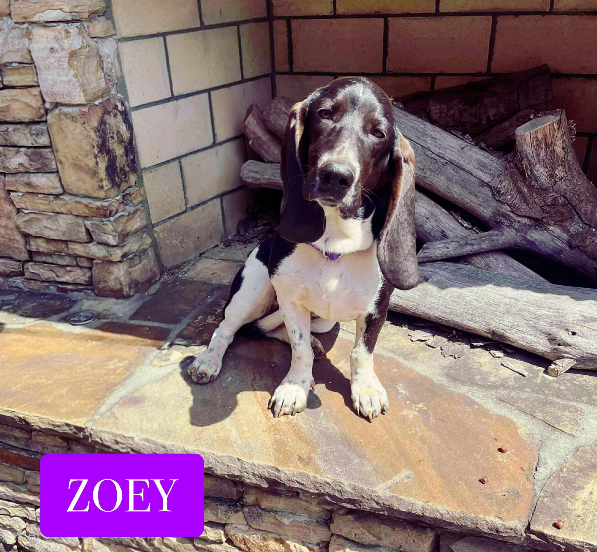 Zoey
