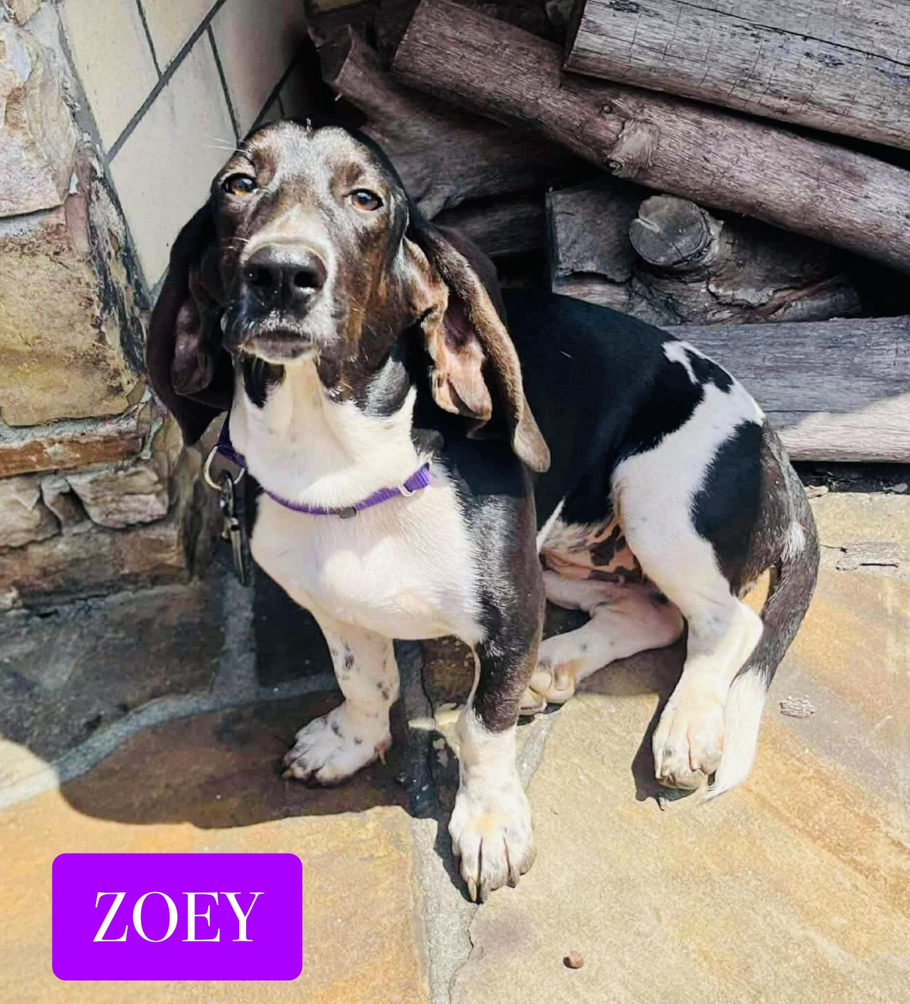 Zoey