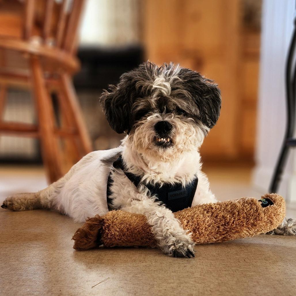 Charlieshihn thumbnail 2