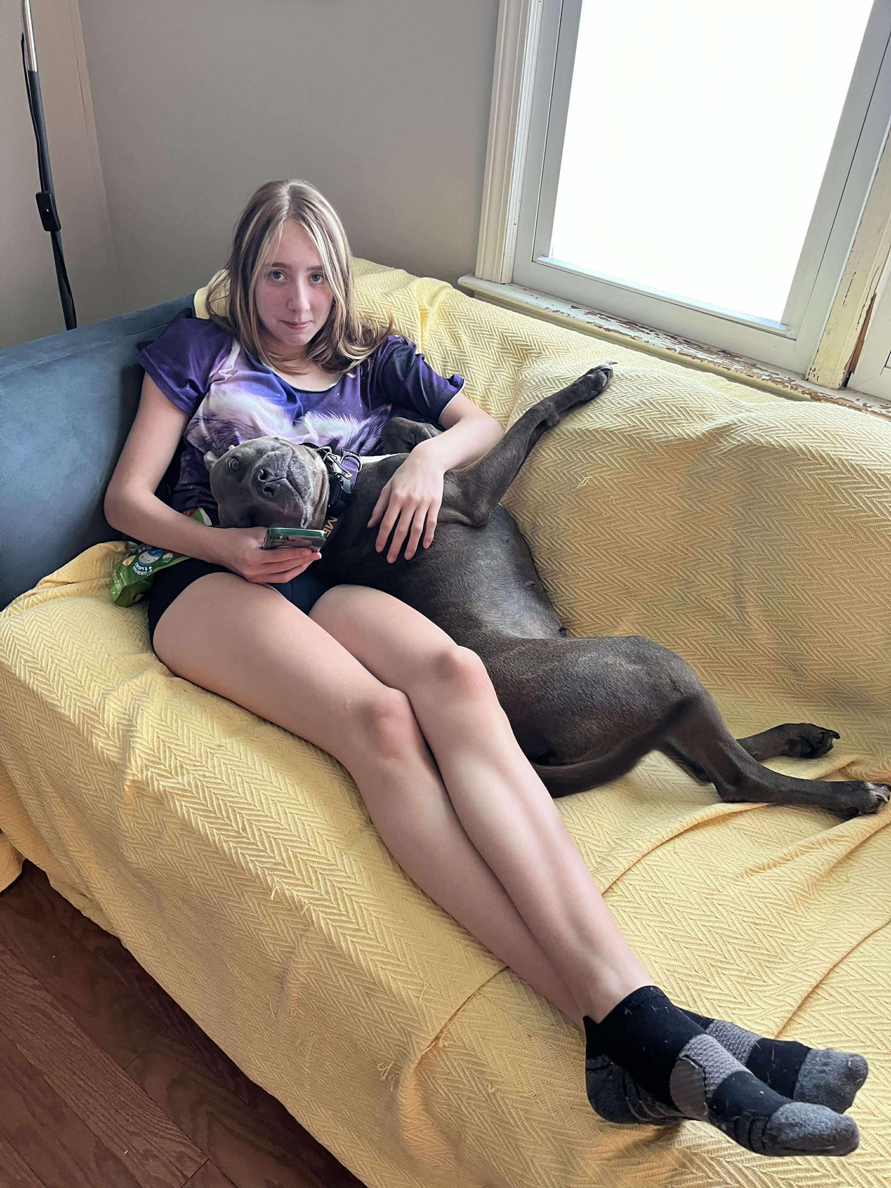 CORAL, Adoptable, Adult Female American Staffordshire Terrier.