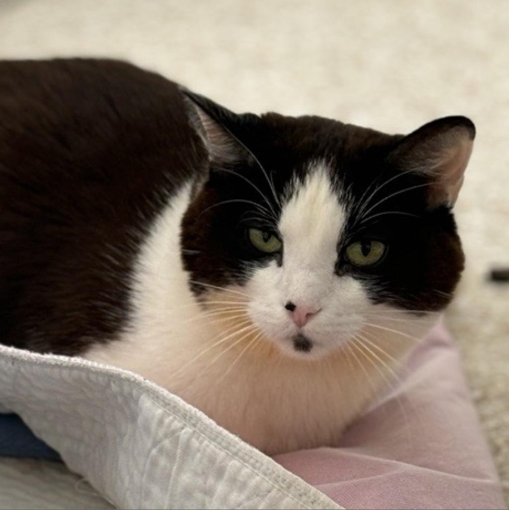 Lucky — thumbnail 2