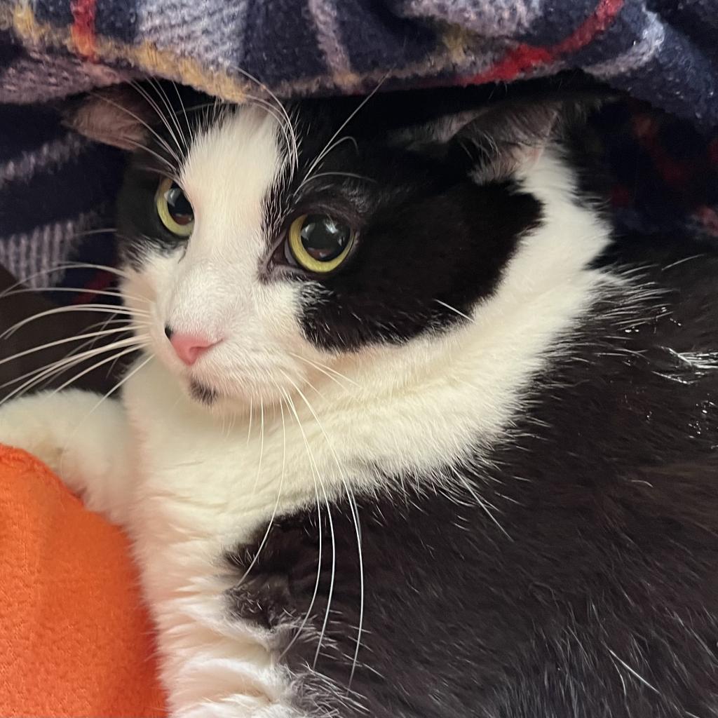 Lucky — thumbnail 4