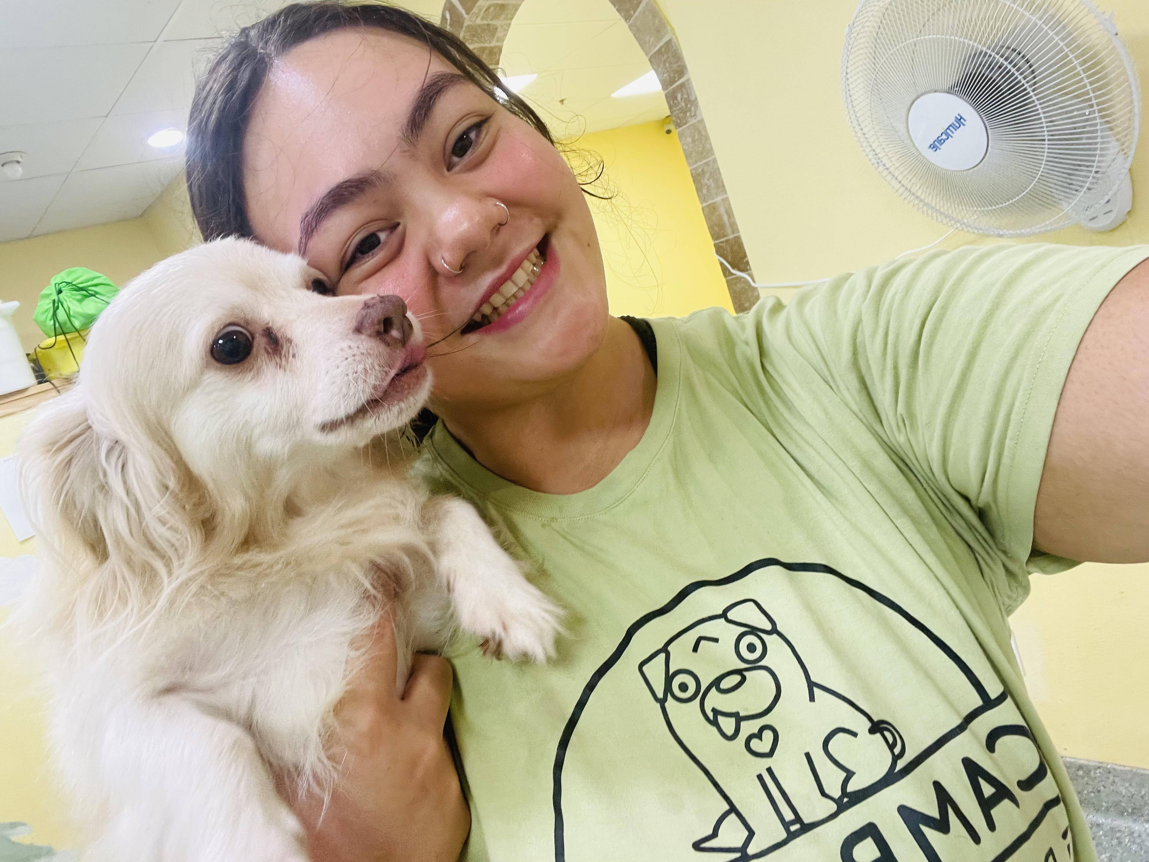 Enlarge Winston, a Adoptable mixed breed in Rancho Santa Margarita, CA image 3/4