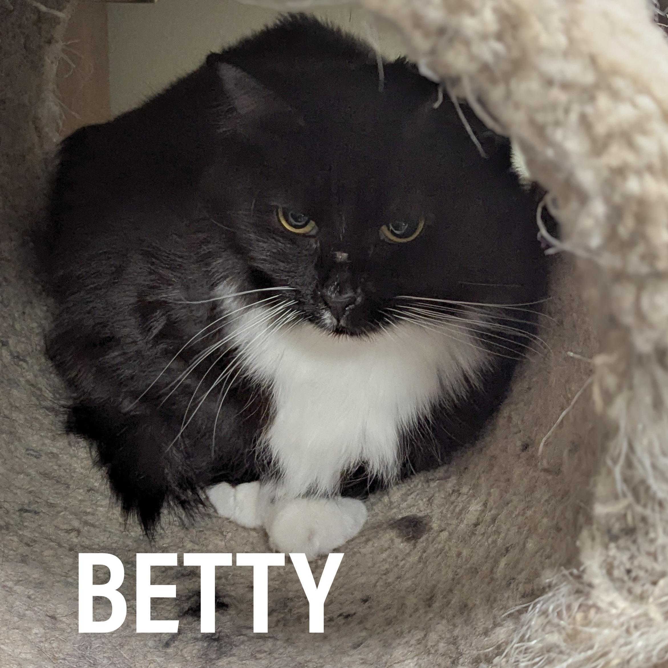 BETTY photo 3