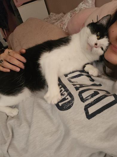 Hera — thumbnail 6