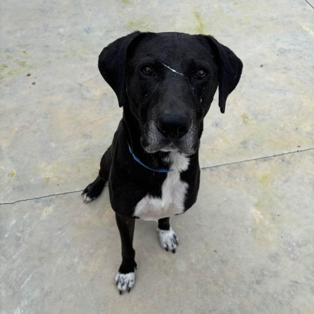 Hm Marty thumbnail 4