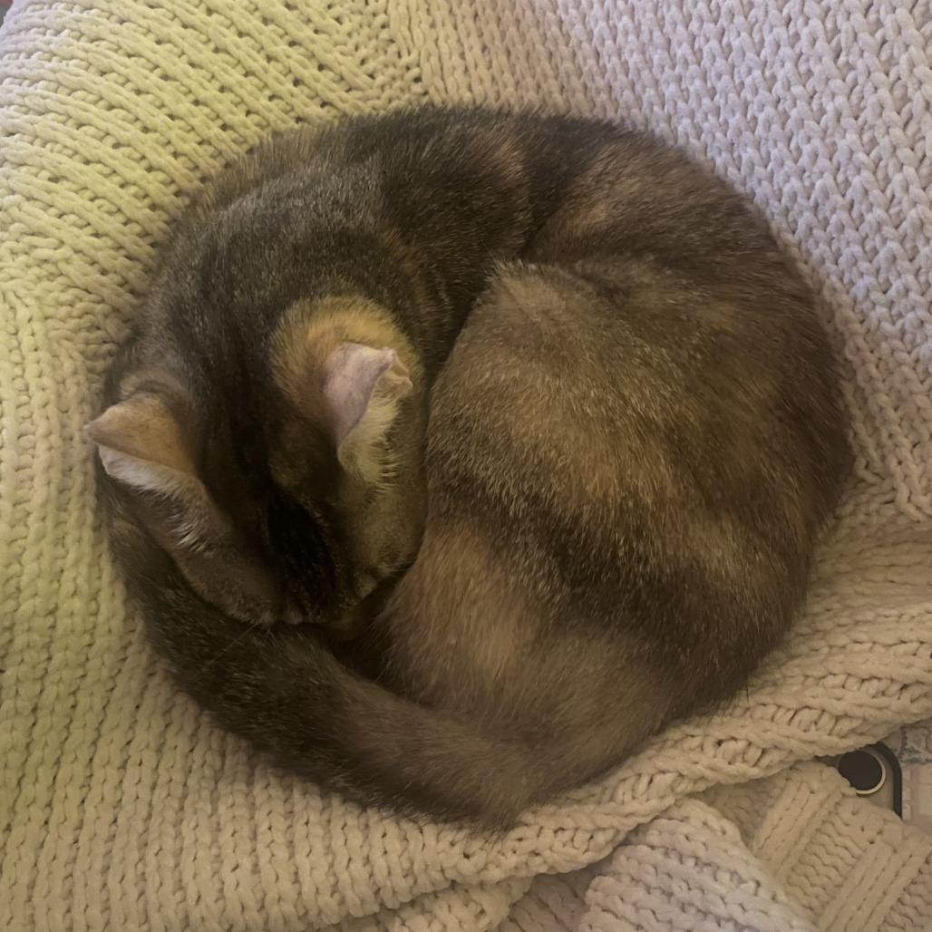 LuLu — thumbnail 3