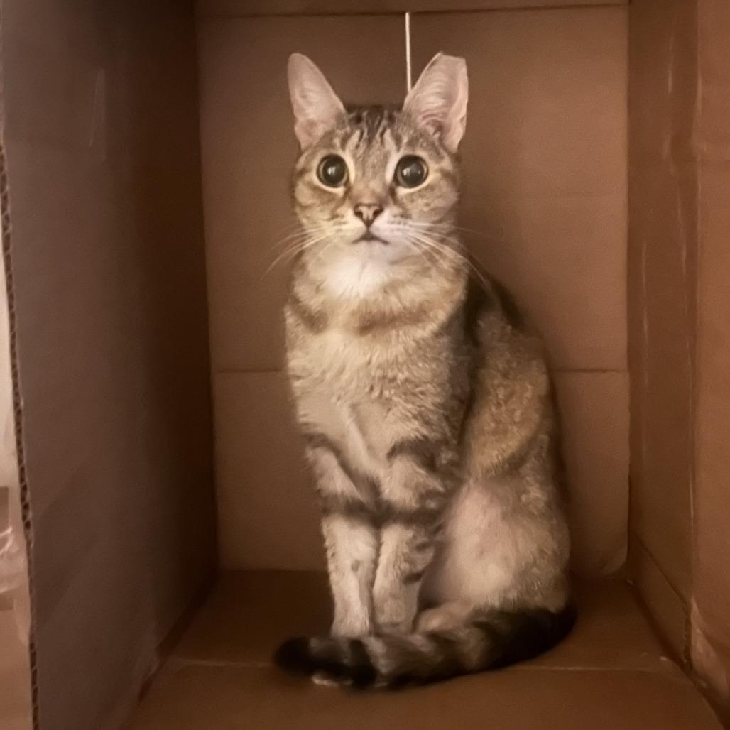 LuLu — thumbnail 5