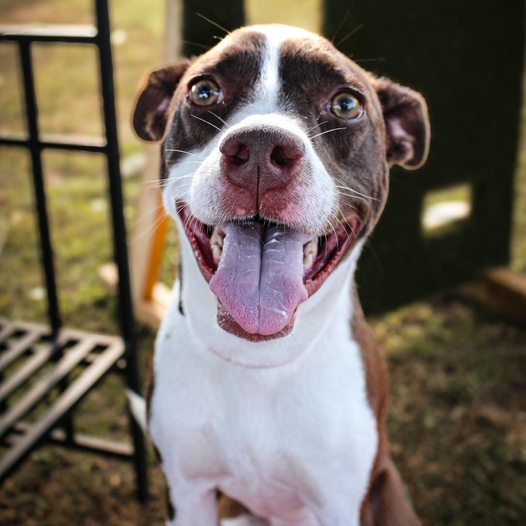 Morticia — thumbnail 3