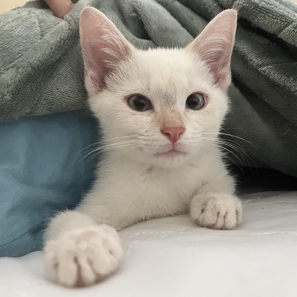 Charlie