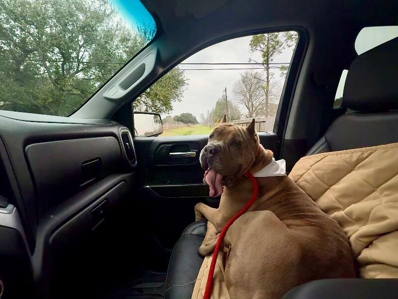 Rodney Roo has Heart Eyes for You — thumbnail 2