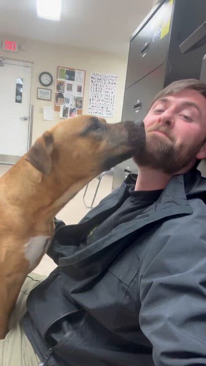 Enlarge Tremble , a ADOPTABLE mixed breed in Chickamauga, GA video 1/3