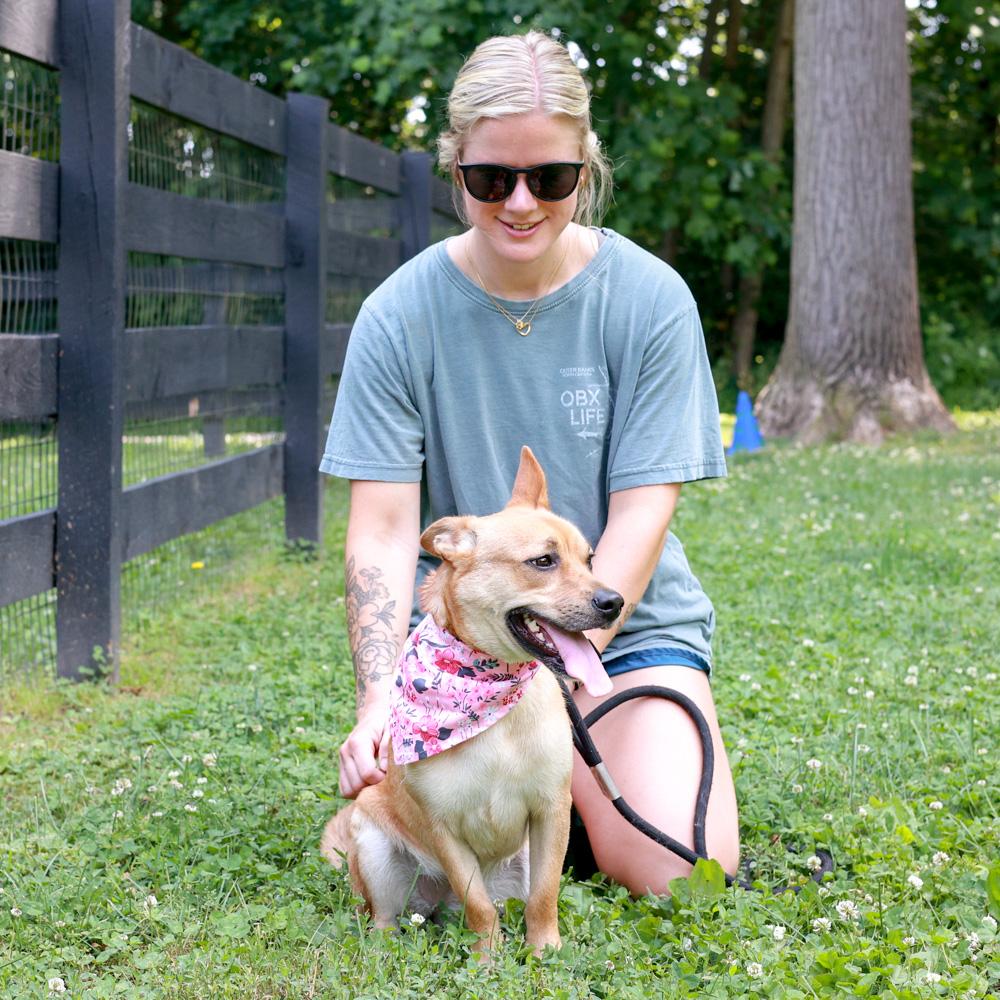 Enlarge Gidget (Female), an adopted mixed breed in West Grove, PA image 6/6